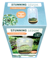 Stunning Sedum Glass Terrarium Seed Starting Kit