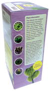 Superb Succulents Glass Terrarium Seed Starting Kit