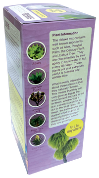 Superb Succulents Glass Terrarium Seed Starting Kit