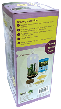 Superb Succulents Glass Terrarium Seed Starting Kit