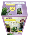Superb Succulents Glass Terrarium Seed Starting Kit