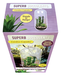 Superb Succulents Glass Terrarium Seed Starting Kit