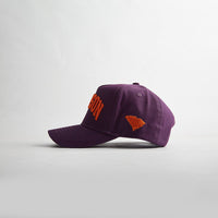 The Clemson South Carolina Legacy Snapback - LAST CALL