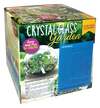 Crystal Glass Garden Seed Starting Terrarium