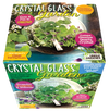 Crystal Glass Garden Seed Starting Terrarium