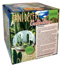 Mini Desert Collection Glass Terrarium Cacti Seed Starting Kit
