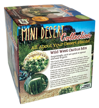 Mini Desert Collection Glass Terrarium Cacti Seed Starting Kit