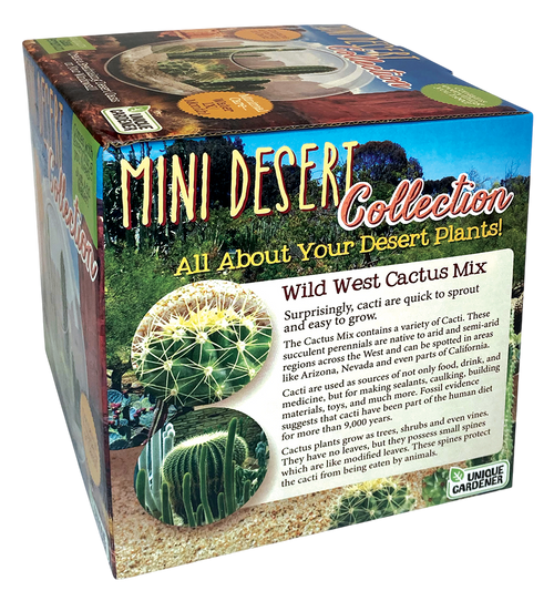 Mini Desert Collection Glass Terrarium Cacti Seed Starting Kit