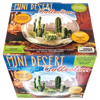 Mini Desert Collection Glass Terrarium Cacti Seed Starting Kit