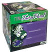 Fairy Triad Glass Terrarium Seed Starting Kit
