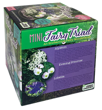 Fairy Triad Glass Terrarium Seed Starting Kit