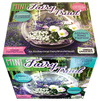 Fairy Triad Glass Terrarium Seed Starting Kit