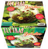Flytrap Garden Glass Terrarium Seed Starting Kit