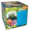 Wildflower Blooms Glass Terrarium Seed Starting Kit