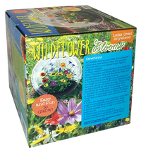 Wildflower Blooms Glass Terrarium Seed Starting Kit
