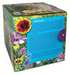 Wildflower Blooms Glass Terrarium Seed Starting Kit