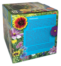Wildflower Blooms Glass Terrarium Seed Starting Kit