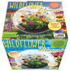 Wildflower Blooms Glass Terrarium Seed Starting Kit
