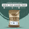 Wheat Berries, Bronze Chief (Red), Certified Glyphosate Free