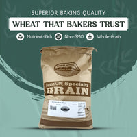 Wheat Berries, Bronze Chief (Red), Certified Glyphosate Free