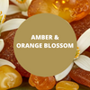 Amber & Orange Blossom Scented Argan Oil Hair Conditioner