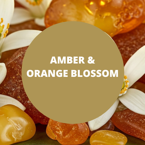 Amber & Orange Blossom Scented Argan Oil Hair Conditioner