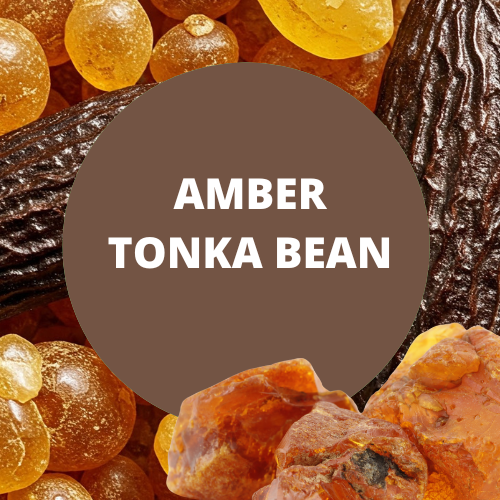 Amber Tonka Bean Scented Argan Oil Hair Shampoo