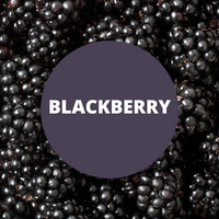 Blackberry Scented Argan Oil Hair Conditioner