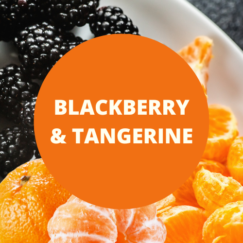 Blackberry & Tangerine Scented Argan Oil Hair Shampoo