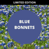 Blue Bonnets Scented Argan Oil Hair Conditioner