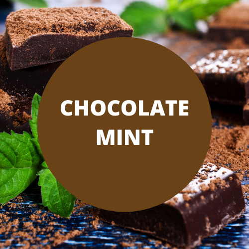 Chocolate Mint Scented Argan Oil Hair Conditioner