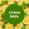 Citrus Basil Scented Argan Oil Hair Conditioner