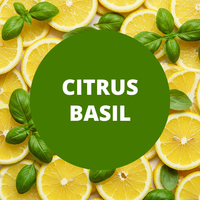 Citrus Basil Scented Argan Oil Hair Conditioner