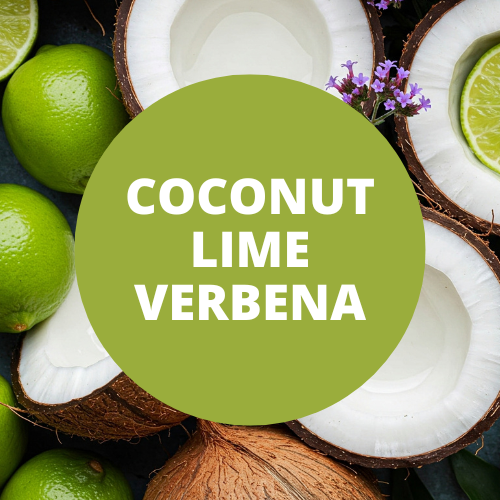 Coconut Lime Verbena Scented Protein Hair Gel