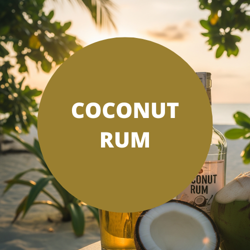 Coconut Rum Scented Argan Oil Hair Conditioner