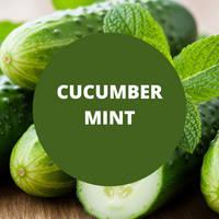 Cucumber Mint Scented Argan Oil Hair Shampoo