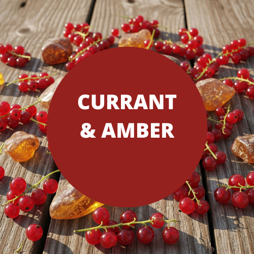 Currant & Amber Scented Argan Oil Hair Conditioner