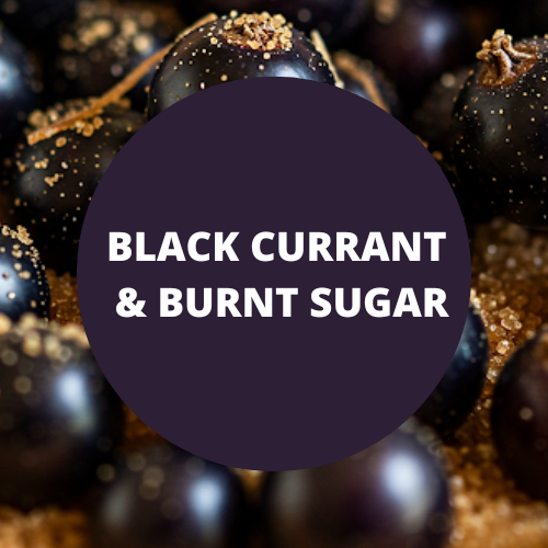 Black Currant & Burnt Sugar Scented Room & Linen Spray