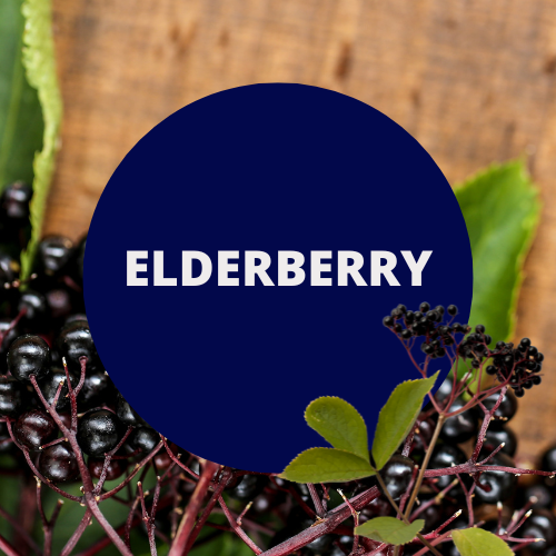 Elderberry Scented Massage Oil