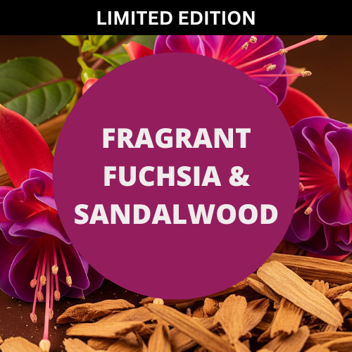 Fragrant Fuchsia & Sandalwood Scented Massage Oil
