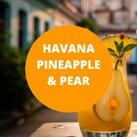 Havana Pineapple & Pear Scented Argan Oil Hair Conditioner
