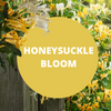 Honeysuckle Bloom Scented Massage Oil