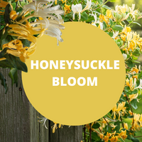 Honeysuckle Bloom Scented Argan Oil Hair Shampoo