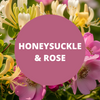 Honeysuckle & Rose Scented Massage Oil