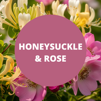 Honeysuckle & Rose Scented Argan Oil Hair Conditioner