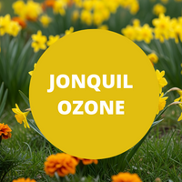 Jonquil Ozone Scented Argan Oil Hair Shampoo
