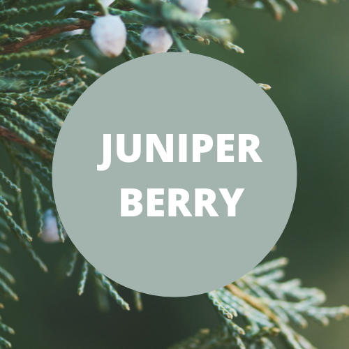 Juniper Berry Scented Argan Oil Hair Conditioner