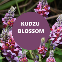 Kudzu Blossom Scented Argan Oil Hair Conditioner