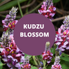 Kudzu Blossom Scented Protein Hair Gel