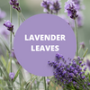 Black Canyon Lavender Leaves Scented Body Lotion